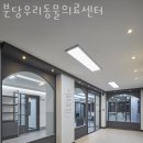 분당우리동물의료센터 네이버블로그