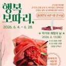 보따리 웹이코노미