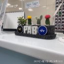 25.04) 건뚱이 다 죽었다.