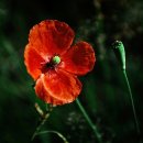 벅스노래연습장 이미지