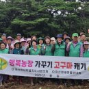 화산면 새 영천인터넷뉴스