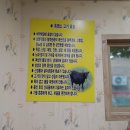 은행나무흑염소 | 양천구 목동맛집 잡내없는 흑염소전문점 은행나무집