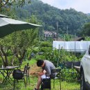 룰루랄라펜션 | [양평 여행] 룰루랄라 강하점 : 경기도 단독독채펜션 추천 소주 생맥주 무제한 내돈내산 솔직후기