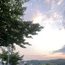 르당