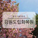 강원도립화목원 | 춘천 가볼만한곳 강원도립화목원 입장료 꿀팁 튤립 겹벚꽃 명소 꽃구경 여행코스