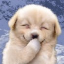 어쩌다가 이미지