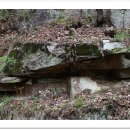 관문초등 이미지