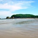 구례포 야영장 이미지