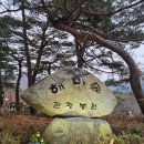 소나무카페(소나무관광농원) 네이버블로그
