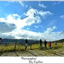 놀부목장 이미지