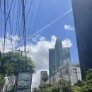 터미널 전통 건강원 앞 | [방콕 아속역] 터미널21 사보이 (Savoey) 메뉴, 후기: 푸팟퐁커리 어디가 더 맛있을까?