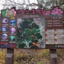 비슬산둘레길 7구간 이미지