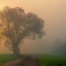 비전부동산공인중개사사무소 이미지