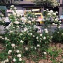 축복이발관