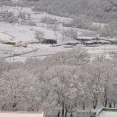 장수북동주공아파트 이미지