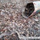 행복한사슴농장 이미지