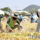 인력난에 인건비는 천정부지…농가마다 ‘비명’ 이미지