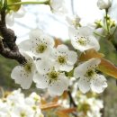 봉화산농장 이미지