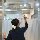 동물은 내친구 동물병원 | 동물은 내친구 동물병원에도 크리스마스가 찾아왔어요!