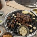 돼지나무 사랑걸렸네 이미지