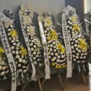 우리상조서비스 - 영등포구 당산로 171 | 참정성가득 우리상조 후불제 상조 장단점 가격 장례 후기 #내돈내산