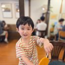 홍천우체국 | 일상: 홍천계곡,여름방학,데이캠파크,인천개항장축제,가족모임,8살5살남매일상