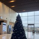 마이다스 | 이천 골프장 추천 마이다스CC 겨울 라운딩 실제 후기