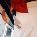 무주인게스트하우스 이미지