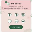 에코리워드