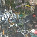 농수산물유통센타 이미지