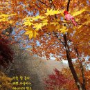 효경노인복지원 이미지