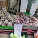 과일야채싸게파는집 - 3556 | 과일야채싸게파는집