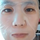 셀그래프트