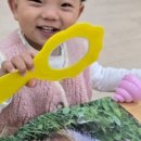 동광어린이집 이미지