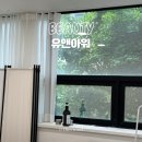 속눈썹펌 주의사항 신사 가로수길 가성비 논현역 속눈썹펌 유앤아워