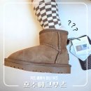 키즈 클래식 | 호주 어그 오즈웨어 키즈 클래식 미니 부츠 5/6 사이즈 솔직 후기