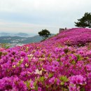 백양산 애진봉 이미지