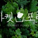 포레포레 이미지