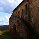 둘둘말이 김밥사랑 이미지