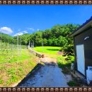 백두농장2 이미지