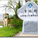 상록수도서관 이미지