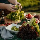 이탈리아 음식 문화의 이해 이미지