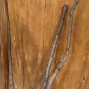 장수농원 이미지