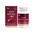 뉴파라다이스 쇼핑하우