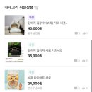 펫바비 | 바비와 함께하는 일상, 펫썸(Petsome) 어플 후기 🐾