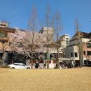 연트럴파크 연남동 카페 리이슈커피로스터스