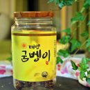 태양굼벵이 이미지