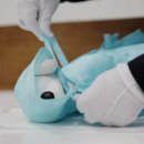 경북반려동물장례식장 이미지