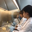 농림축산검역본부 (농림축산검역본부장) 이미지