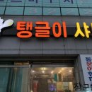 탱글이샤브칼국수 이미지